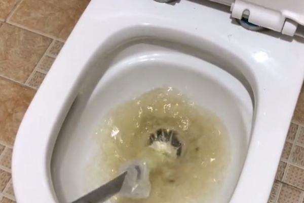 家里馬桶堵了是不是很煩？教你快速疏通方法