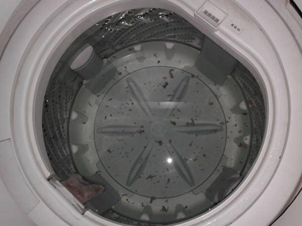 白醋如何洗滾筒洗衣機(jī)